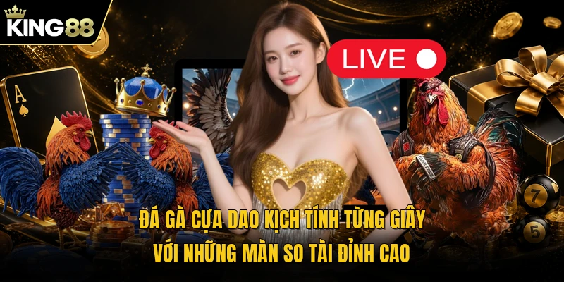 Đá gà cựa dao kịch tính từng giây với những màn so tài đỉnh cao