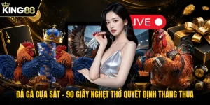 Đá Gà Cựa Sắt - 90 Giây Nghẹt Thở Quyết Định Thắng Thua