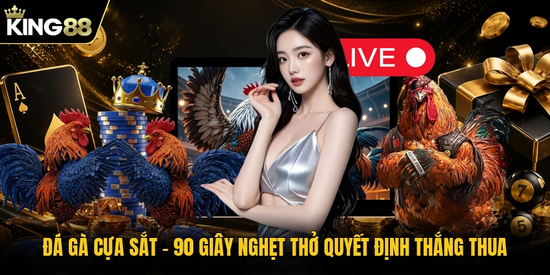 Đá Gà Cựa Sắt - 90 Giây Nghẹt Thở Quyết Định Thắng Thua