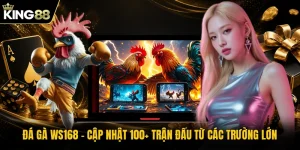 Đá Gà WS168 - Cập Nhật 100+ Trận Đấu Từ Các Trường Lớn
