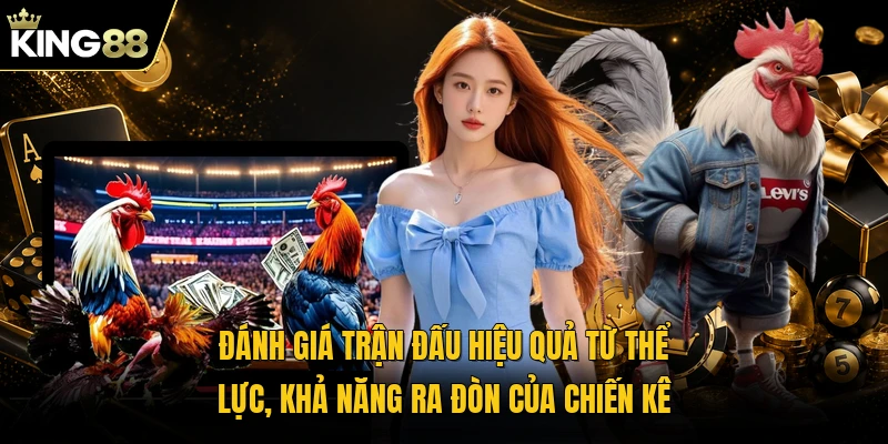 Đánh giá trận đấu hiệu quả từ thể lực, khả năng ra đòn của chiến kê