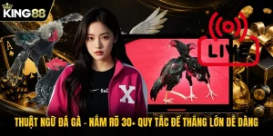Thuật Ngữ Đá Gà | Nắm Rõ 30+ Quy Tắc Để Thắng Lớn Dễ Dàng