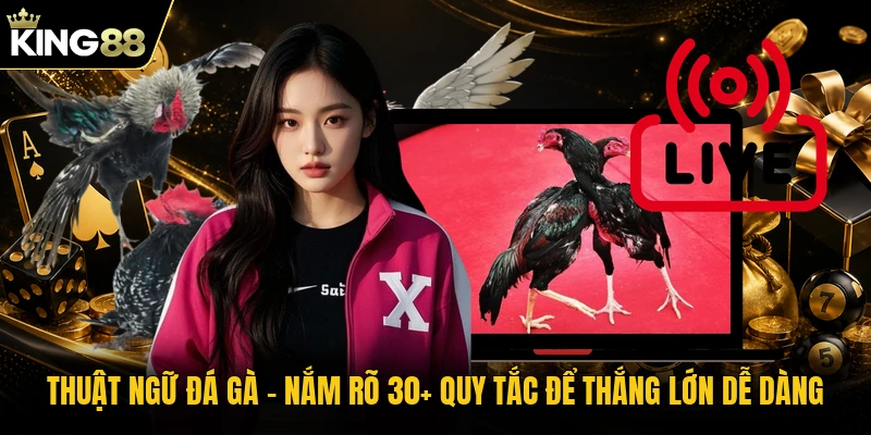 Thuật Ngữ Đá Gà | Nắm Rõ 30+ Quy Tắc Để Thắng Lớn Dễ Dàng