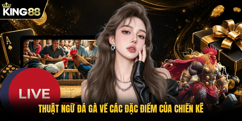 Thuật ngữ đá gà về các đặc điểm của chiến kê